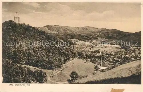 AK / Ansichtskarte Waldkirch_Breisgau  Waldkirch Breisgau