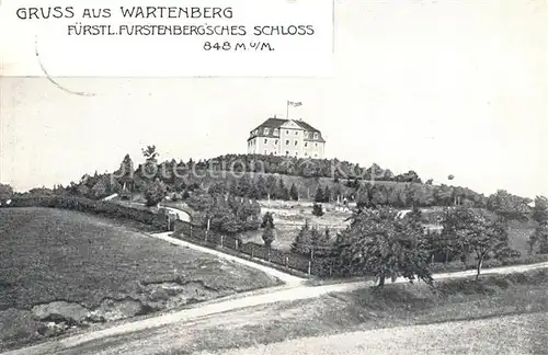 AK / Ansichtskarte Geisingen_Baden Wartenberg F?rstenbergsches Schloss Geisingen_Baden