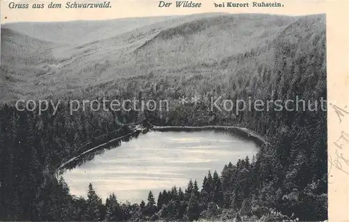 AK / Ansichtskarte Wildsee_Schwarzwald bei Ruhstein 