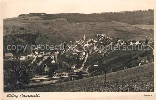 AK / Ansichtskarte Wildberg_Schwarzwald Kosmos Wildberg Schwarzwald