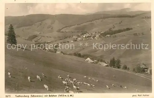 AK / Ansichtskarte Todtnauberg mit Belchen K?he Todtnauberg