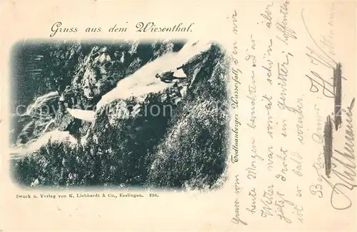 AK / Ansichtskarte Todtnauberg Wasserfall  Todtnauberg