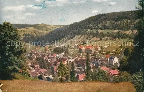 AK / Ansichtskarte Triberg_Schwarzwald  Triberg Schwarzwald