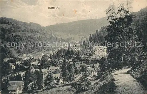 AK / Ansichtskarte Triberg_Schwarzwald  Triberg Schwarzwald