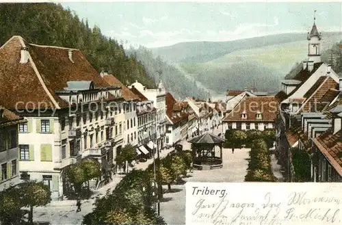 AK / Ansichtskarte Triberg_Schwarzwald  Triberg Schwarzwald