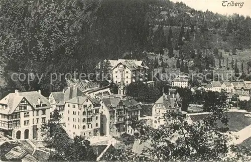 AK / Ansichtskarte Triberg_Schwarzwald  Triberg Schwarzwald