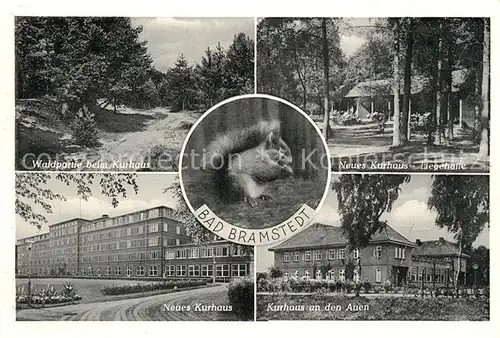 AK / Ansichtskarte Bad_Bramstedt Wald Kurhaus Eichh?rnchen Bad_Bramstedt