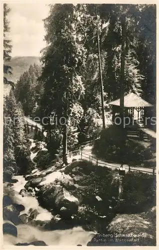 AK / Ansichtskarte Triberg_Schwarzwald am Wasserfall Triberg Schwarzwald