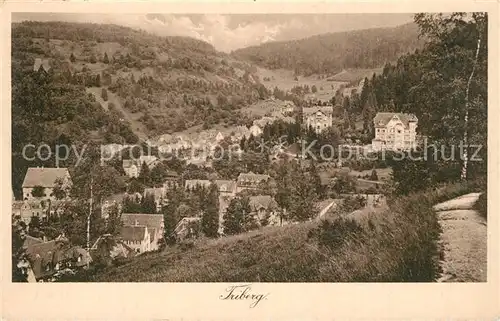AK / Ansichtskarte Triberg_Schwarzwald  Triberg Schwarzwald