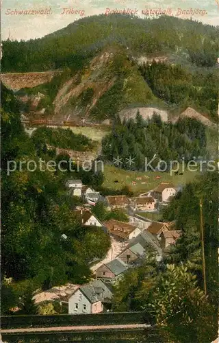 AK / Ansichtskarte Triberg_Schwarzwald Bahnblick unterhalb Bachj?rg Triberg Schwarzwald