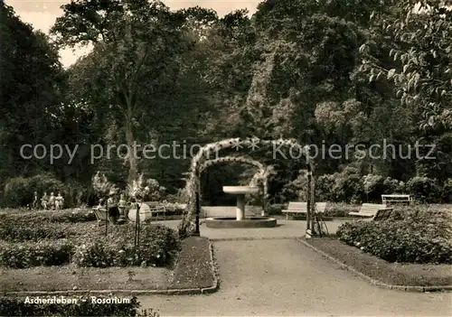 AK / Ansichtskarte Aschersleben Rosarium Aschersleben