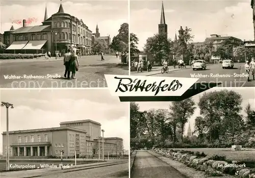 AK / Ansichtskarte Bitterfeld Walther Rathenau Strasse Kulturpalast Wilhelm Pieck Stadtpark Bitterfeld