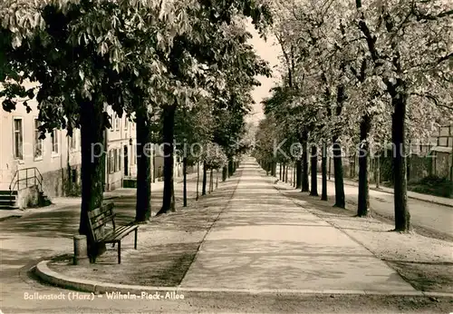 AK / Ansichtskarte Ballenstedt Wilhelm Pieck Allee Ballenstedt