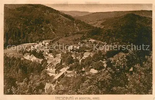 AK / Ansichtskarte Treseburg_Harz im Bodetal Treseburg Harz