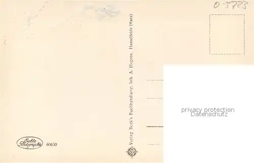 AK / Ansichtskarte Hasselfelde total Hasselfelde