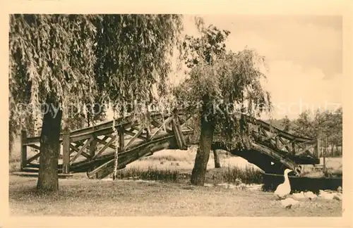 AK / Ansichtskarte Lychen Br?cke ?ber den M?hlenbach G?nse Lychen