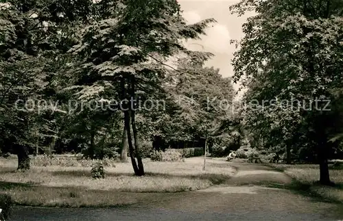 AK / Ansichtskarte Anklam Im Park Anklam
