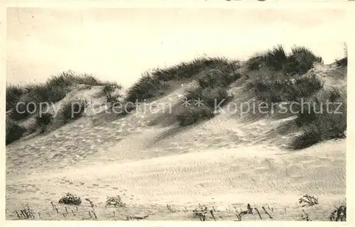 AK / Ansichtskarte De_Panne Le sentier trace dans la dune De_Panne