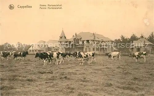 AK / Ansichtskarte Capellen_Antwerpen Ferme Hortensiahof 