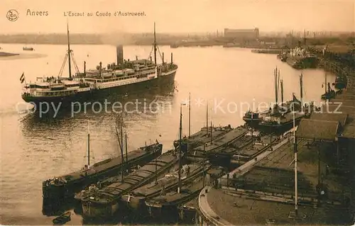 AK / Ansichtskarte Anvers_Antwerpen Escout au Coude d Austruweel Anvers Antwerpen
