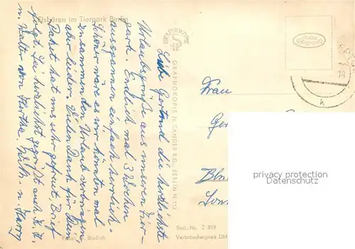 AK / Ansichtskarte Berlin Tierpark Eisb?ren Berlin