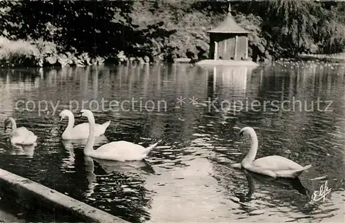 AK / Ansichtskarte Toulouse_Haute Garonne Les Cygnes du Jardin Royal Schw?ne Toulouse Haute Garonne
