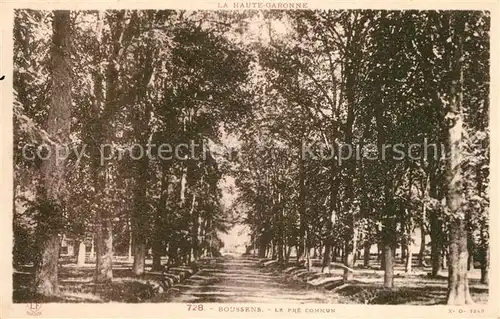 AK / Ansichtskarte Boussens_Haute Garonne Le Pr? Commun Boussens Haute Garonne