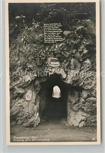 AK / Ansichtskarte Treseburg_Harz Eingang zum Wilhelmsblick Treseburg Harz