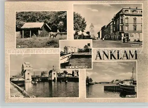 AK / Ansichtskarte Anklam Tierpark Steinstrasse Hafen Anklam