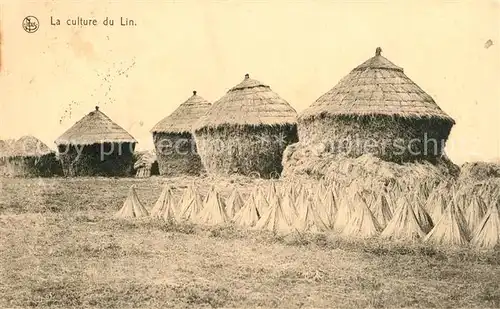 AK / Ansichtskarte Lin La culture du Lin Lin