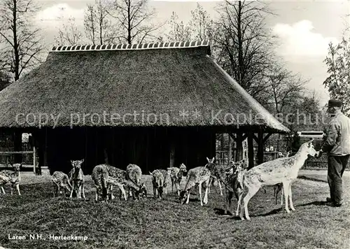 AK / Ansichtskarte Laren Gooi Hertenkamp 