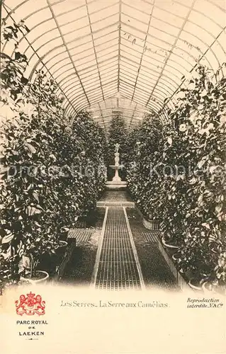 AK / Ansichtskarte Laeken Parc Royal Les Serres La Serre aux Camelias Laeken