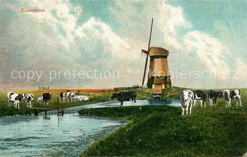 AK / Ansichtskarte Zaanstreek Wasserstrasse Kuehe Weide Windmuehle Zaanstreek