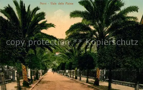 AK / Ansichtskarte Nervi Viale delle Palme Nervi