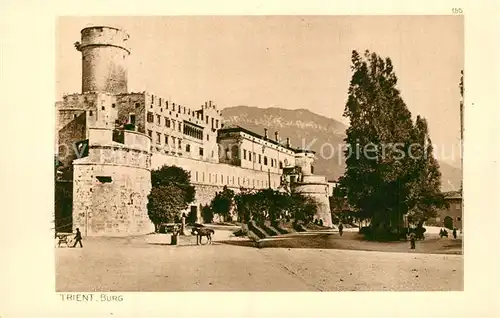 AK / Ansichtskarte Trient Burg Trient