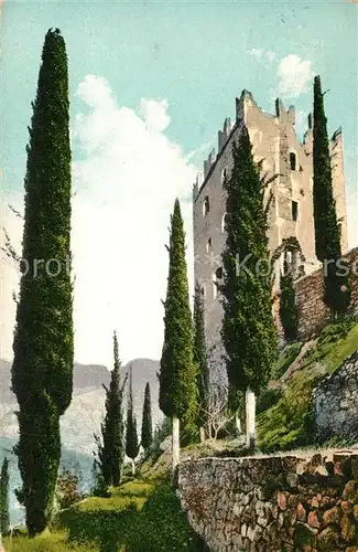 AK / Ansichtskarte Arco_Trentino Cypressen des Castells Arco Trentino
