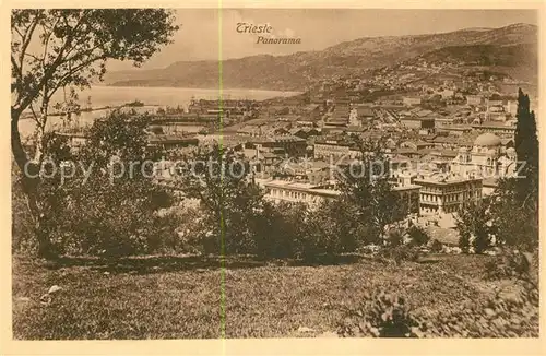 AK / Ansichtskarte Trieste Panorama Trieste