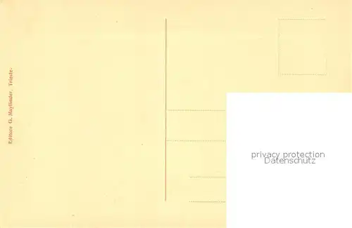 AK / Ansichtskarte Trieste Panorama Trieste