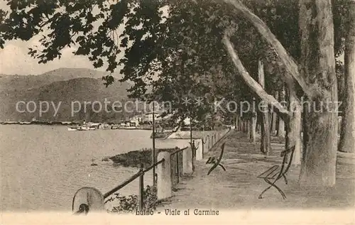 AK / Ansichtskarte Luino Viale al Carmine Luino