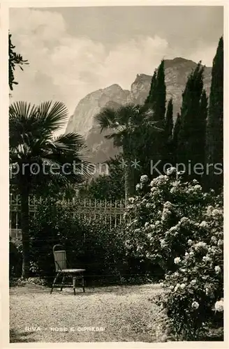 AK / Ansichtskarte Riva_del_Garda Rose Cipressi Riva_del_Garda