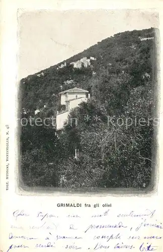 AK / Ansichtskarte Grimaldi Fra gli olivi Grimaldi