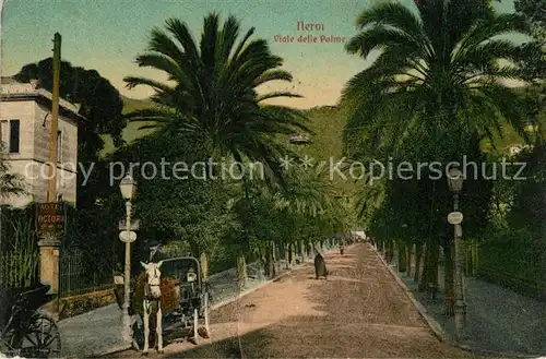 AK / Ansichtskarte Nervi Viale delle Palme Nervi