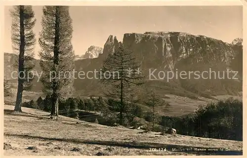 AK / Ansichtskarte Renon Panorama Renon