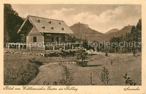 AK / Ansichtskarte Annweiler_Trifels Blick vom Waldbotanischen Garten am Rehberg Annweiler_Trifels