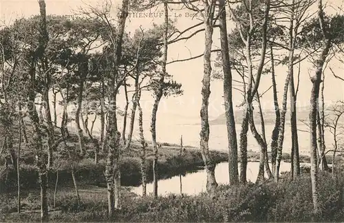AK / Ansichtskarte Rotheneuf Wald am Wasser Rotheneuf