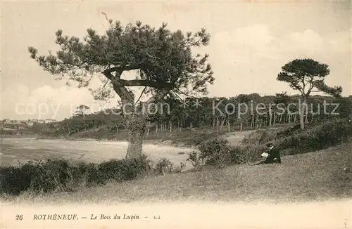 AK / Ansichtskarte Rotheneuf Le Bois du Lupin Rotheneuf