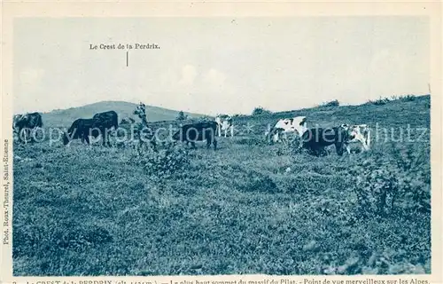 AK / Ansichtskarte La_Jasserie Cret de la Perdrix Massif central des vaches paysage 