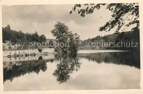 AK / Ansichtskarte Cadolon_Saone et Loire Etang Cadolon Saone et Loire