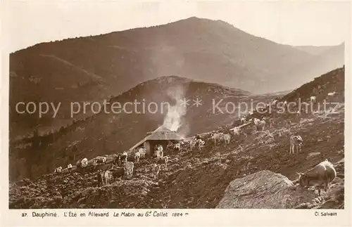 AK / Ansichtskarte Allevard_les_Bains_Isere Le matin au Grand Collet en ete Alpes Allevard_les_Bains_Isere