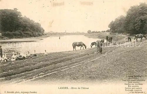 AK / Ansichtskarte Landes_Departement Rives de l Adour des chevaux 